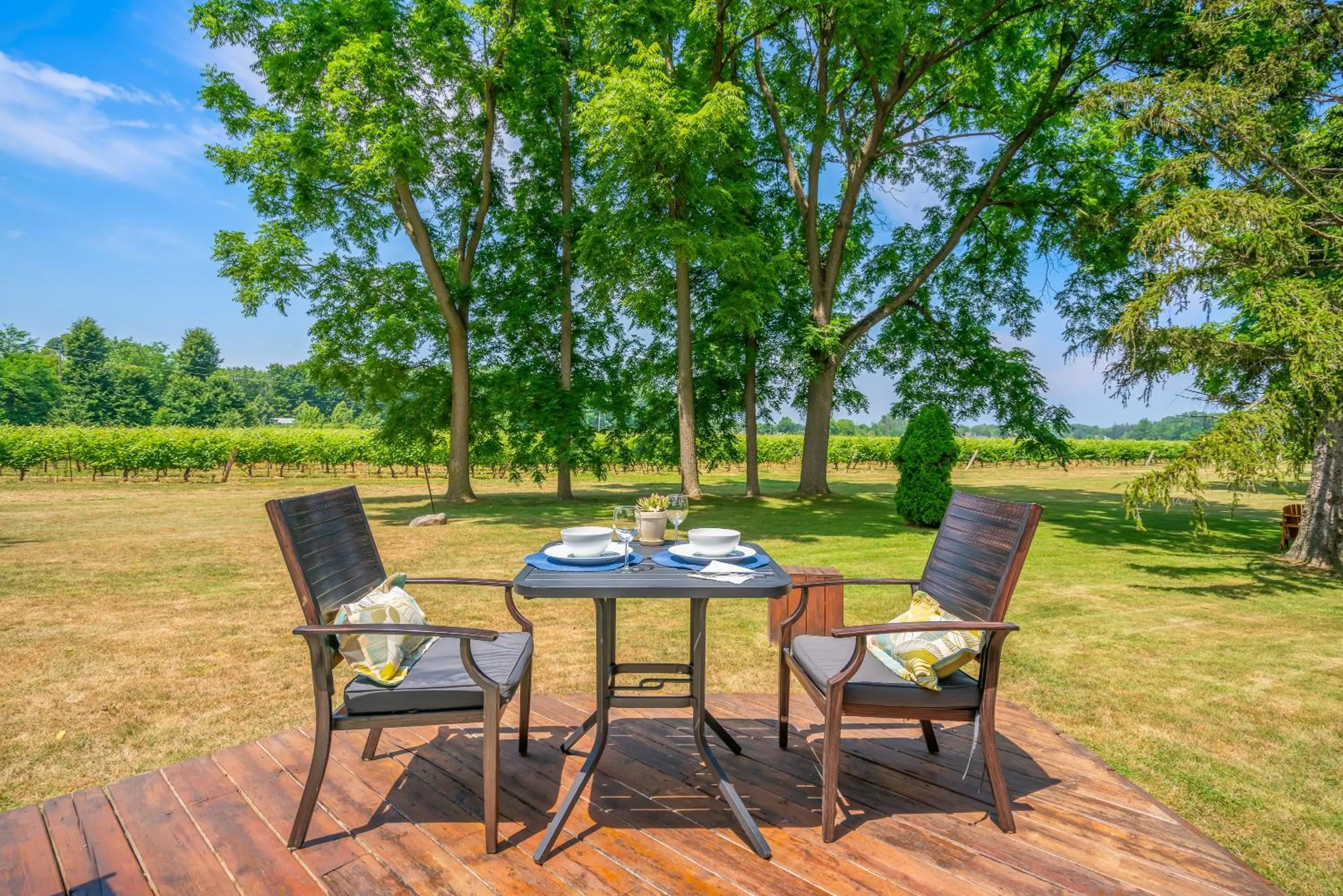 Vineyard Villa