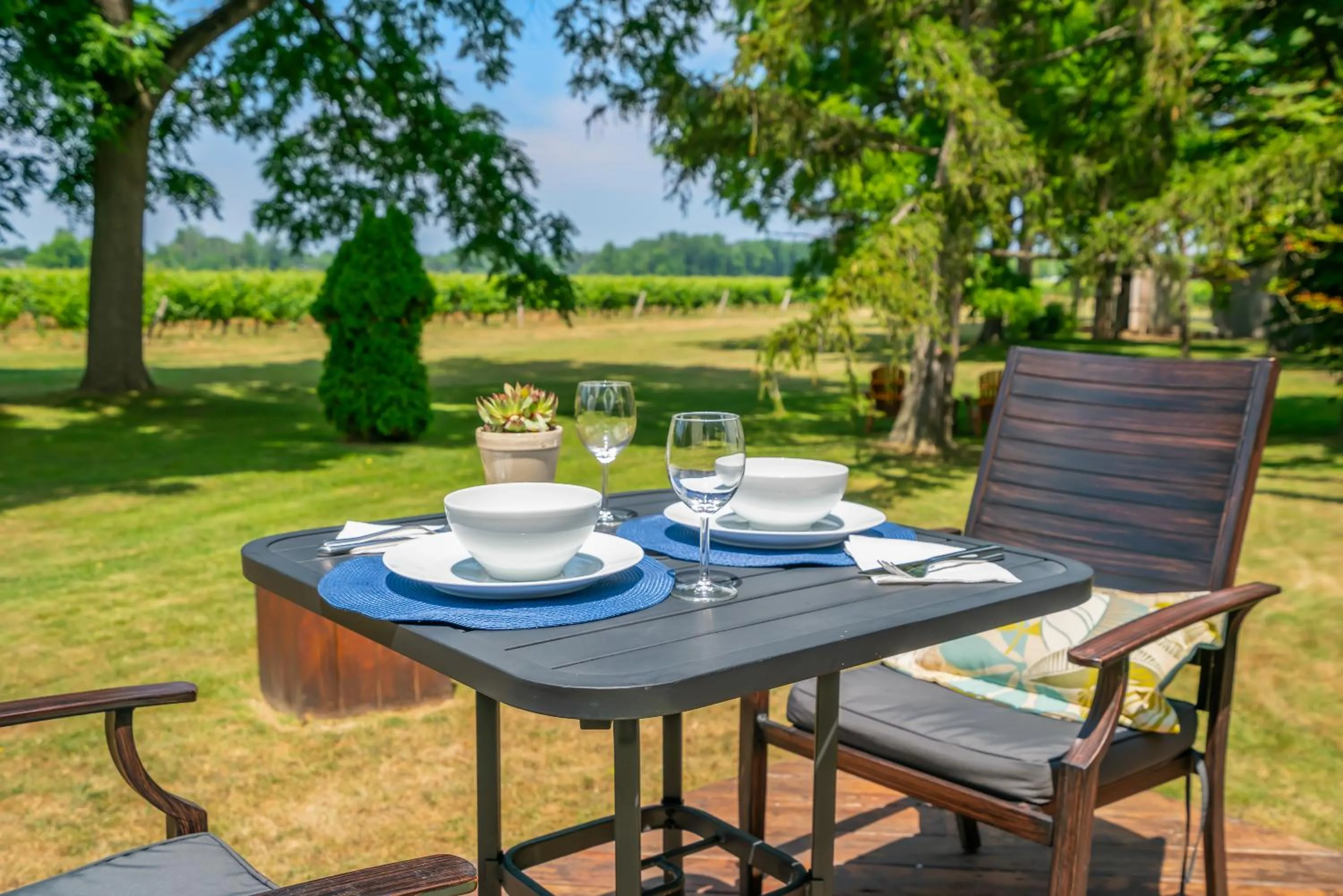 Vineyard Villa