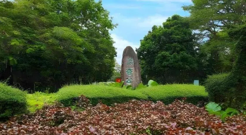 GreenTree Alliance Hotel Shenzhen Nanshan District Nantou Ancient City Majialong