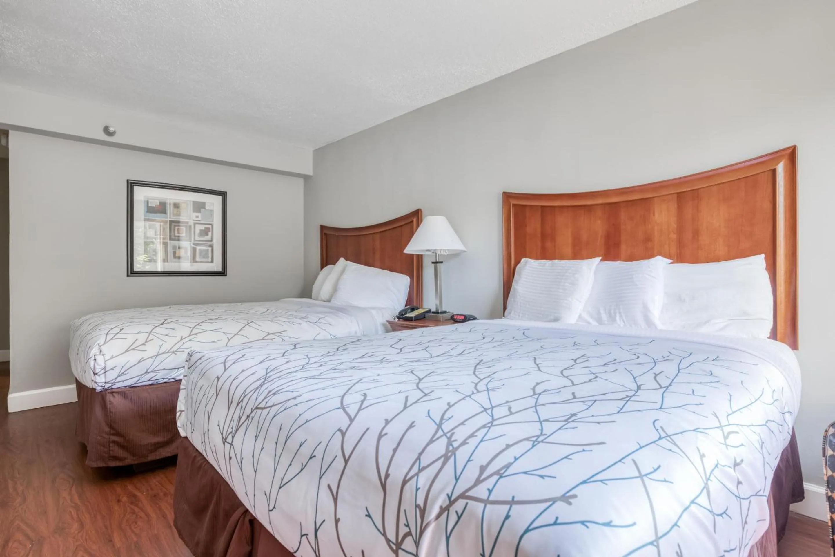 Bedroom, Bed in OYO Hotel Memphis TN I-40