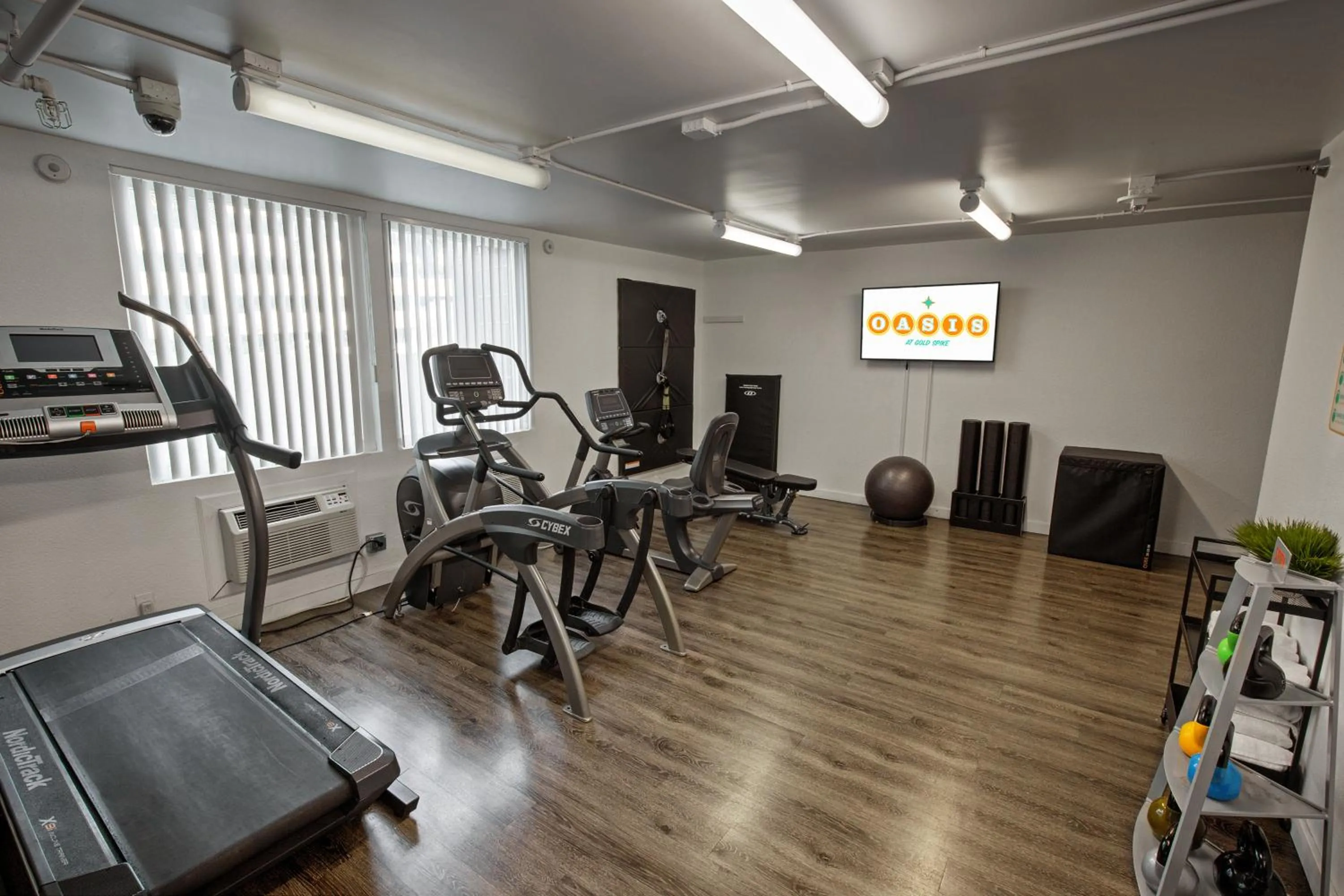 Fitness centre/facilities in Oasis at Gold Spike