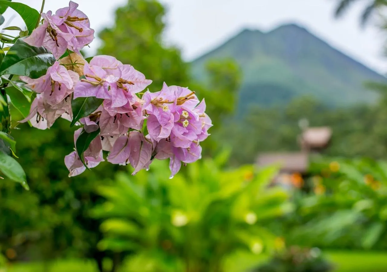 Natural landscape in Hotel El Silencio del Campo