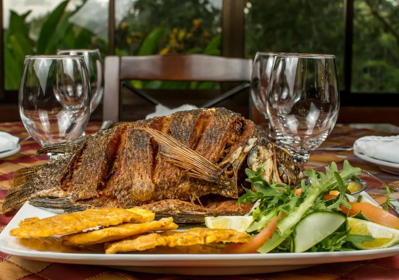 Food and drinks in Hotel El Silencio del Campo