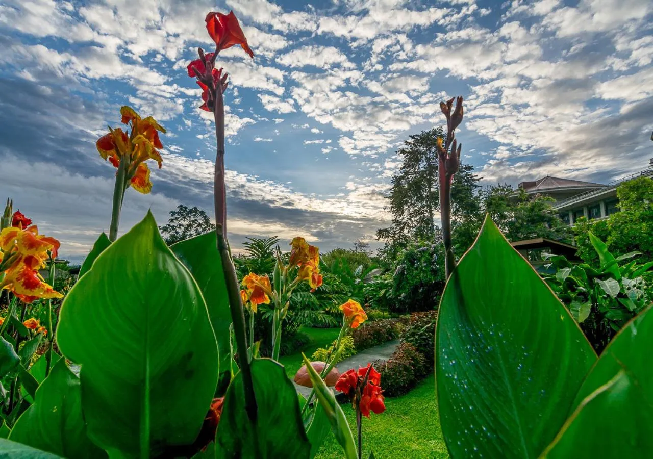 Bird's eye view in Hotel El Silencio del Campo
