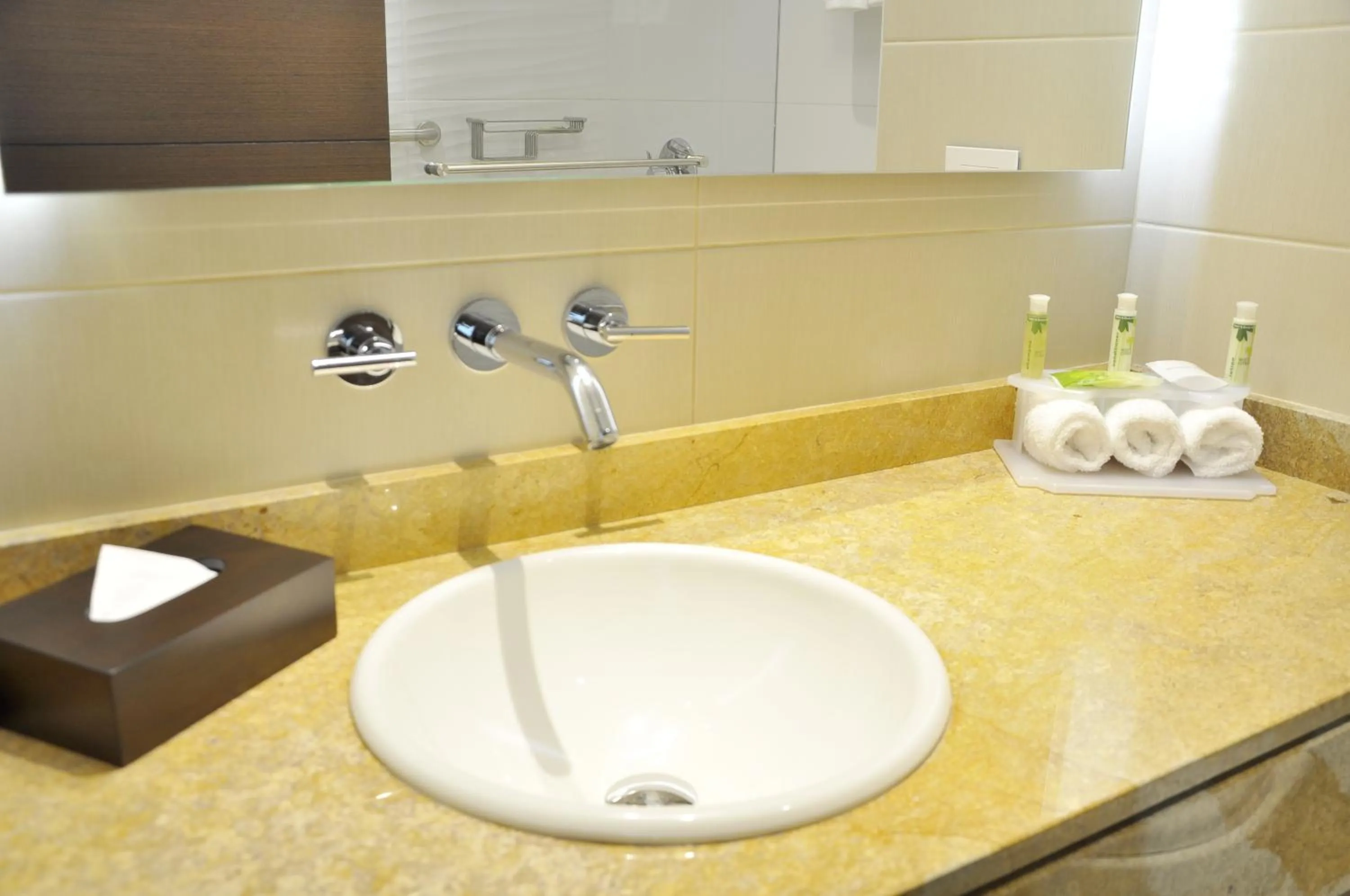 Bathroom in Holiday Inn Express & Suites Bogota Zona G By IHG