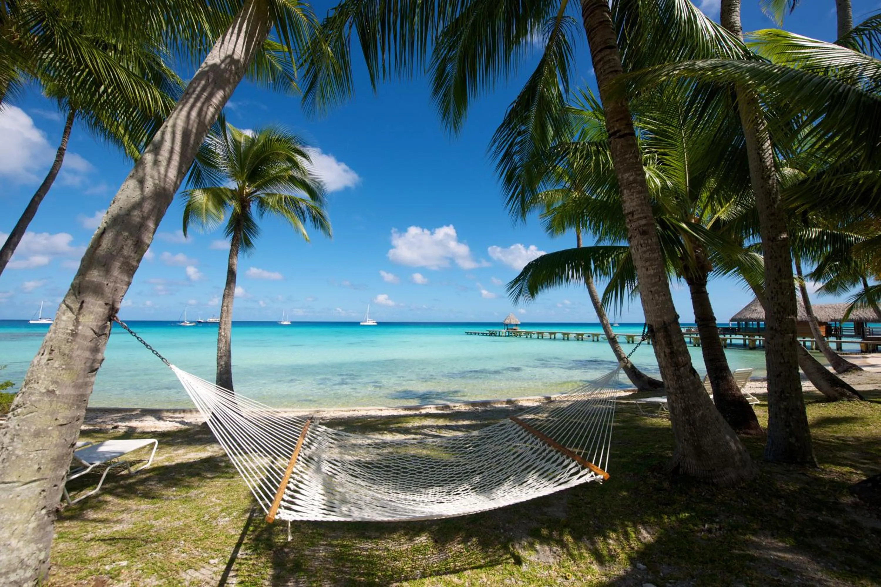 View (from property/room) in Hotel Kia Ora Resort & Spa