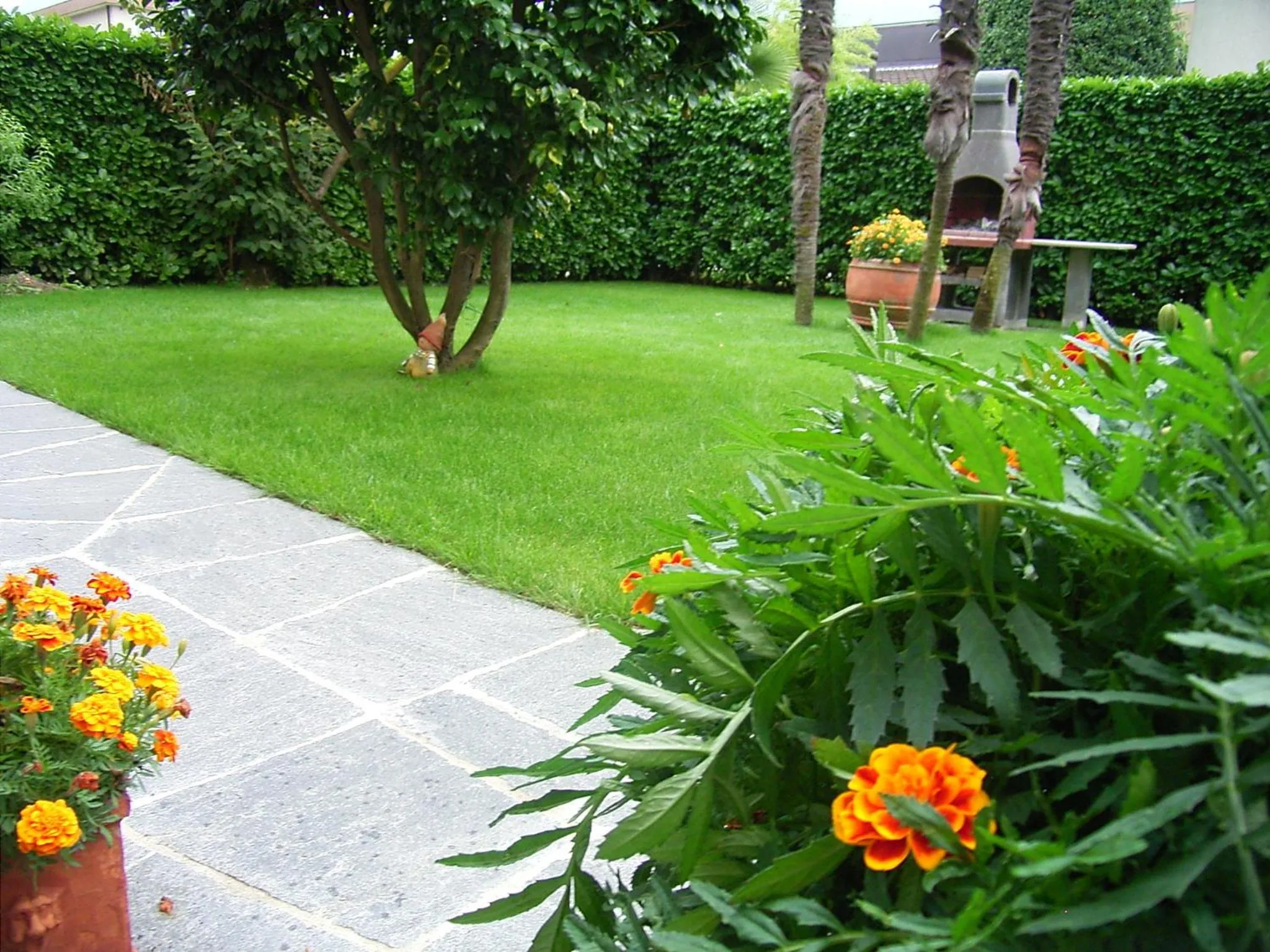 Garden in New "Casa Maria"