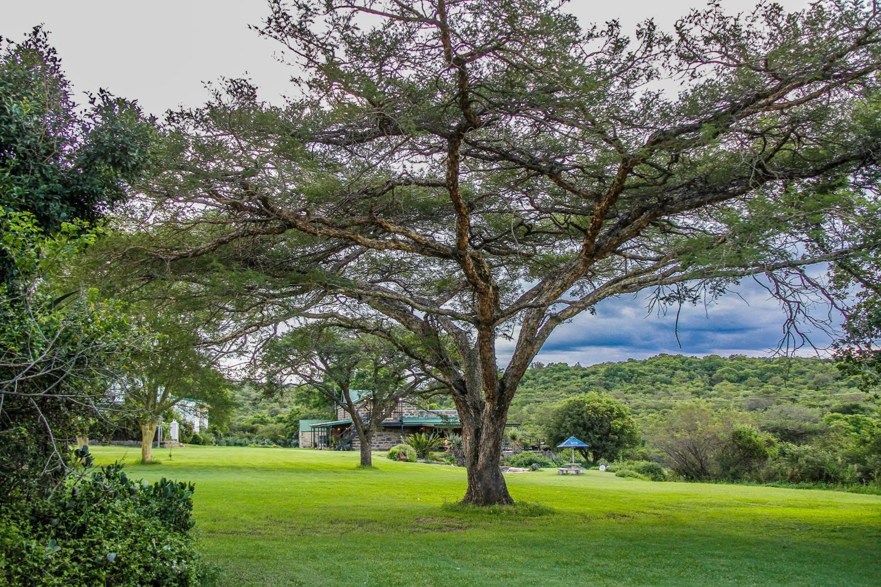 Natural landscape in Spion Kop Lodge