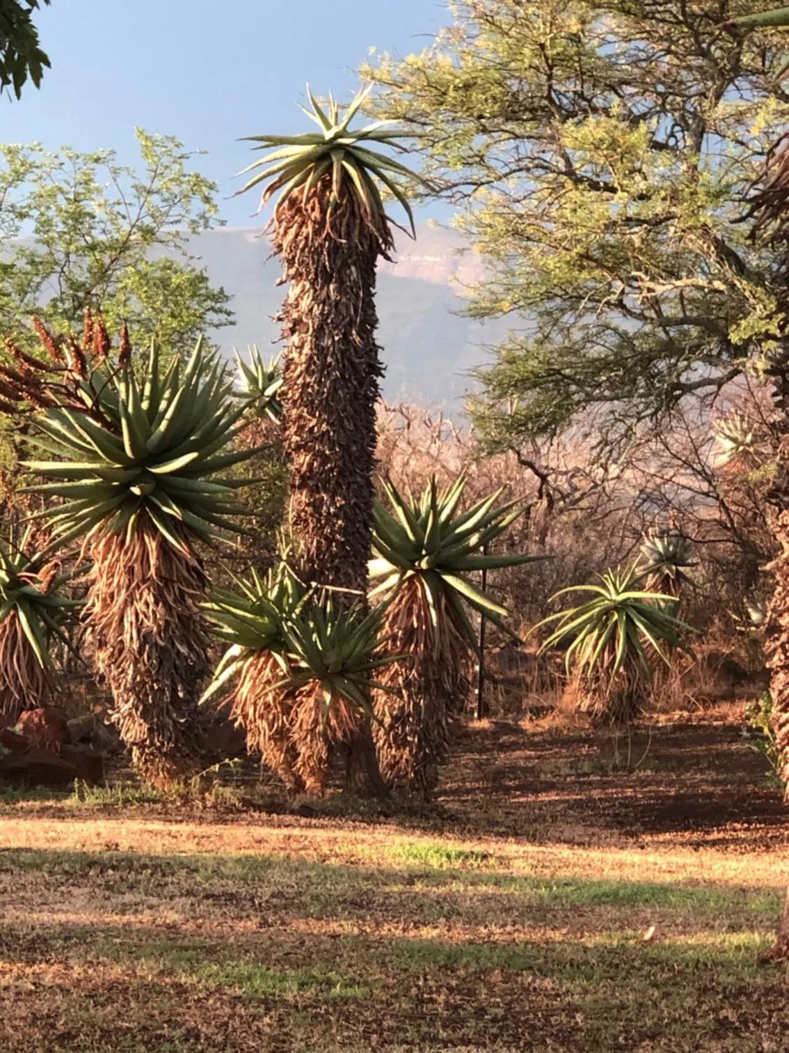 Natural landscape in Spion Kop Lodge