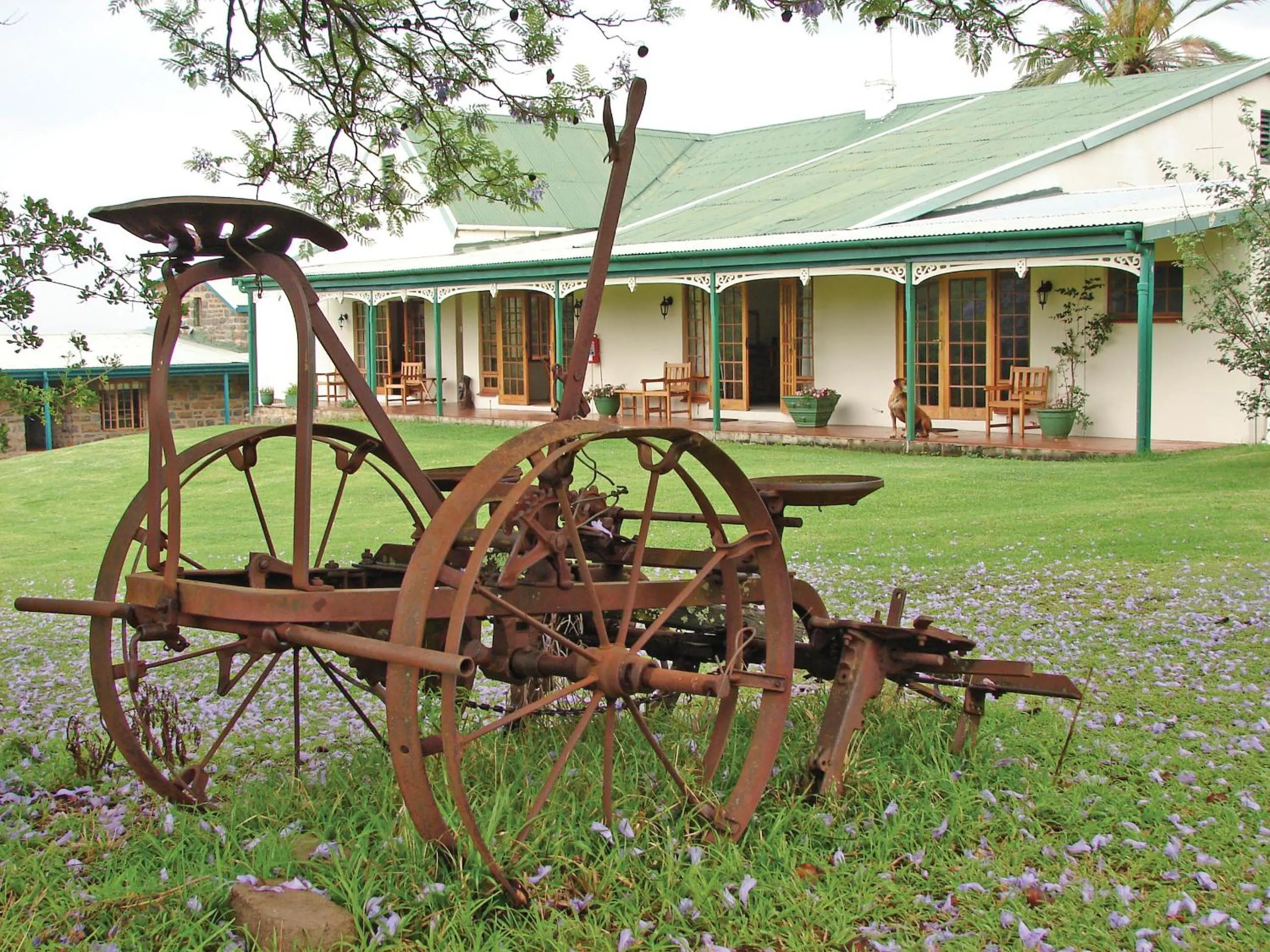 Property building in Spion Kop Lodge