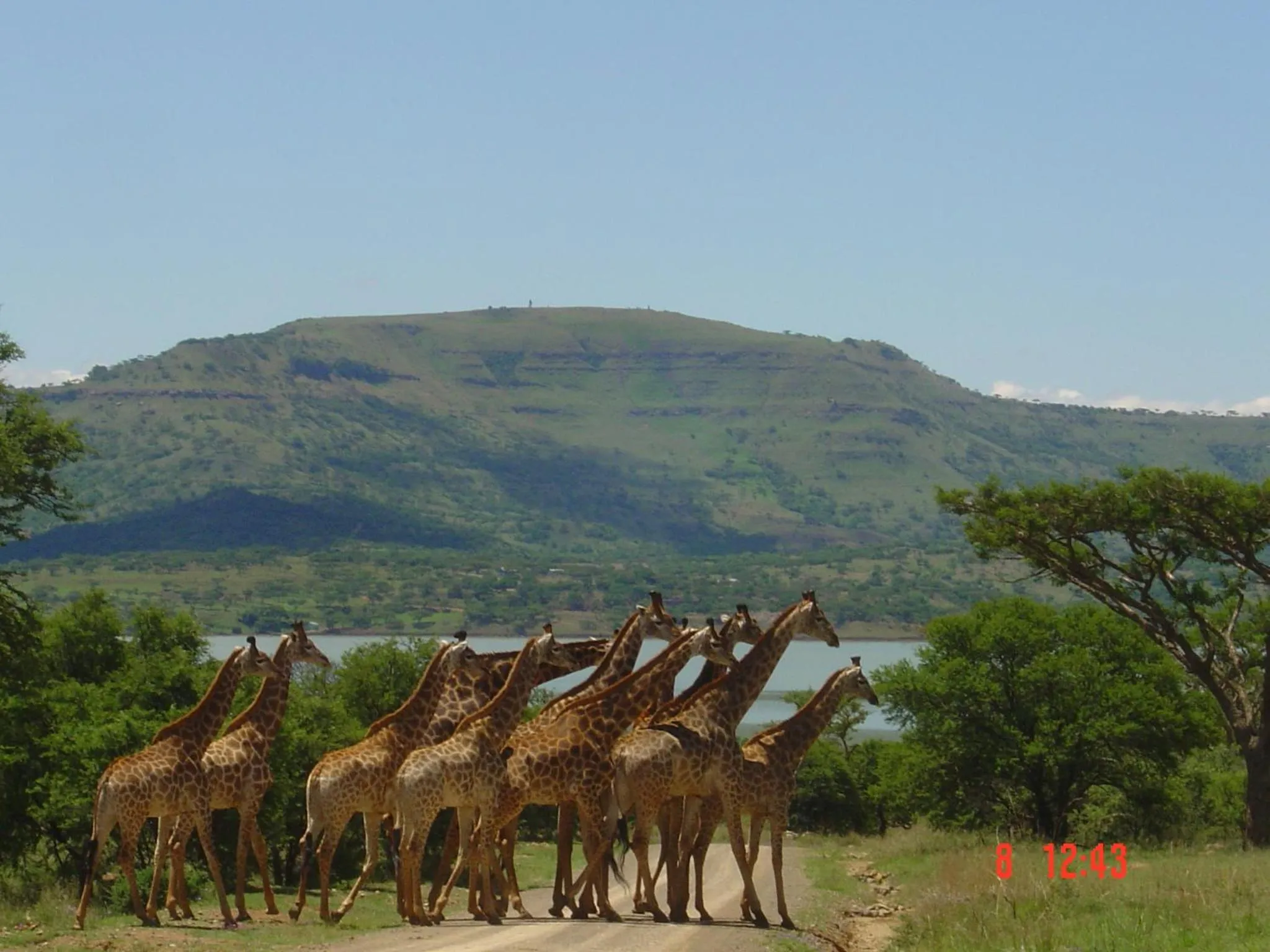 Natural landscape in Spion Kop Lodge