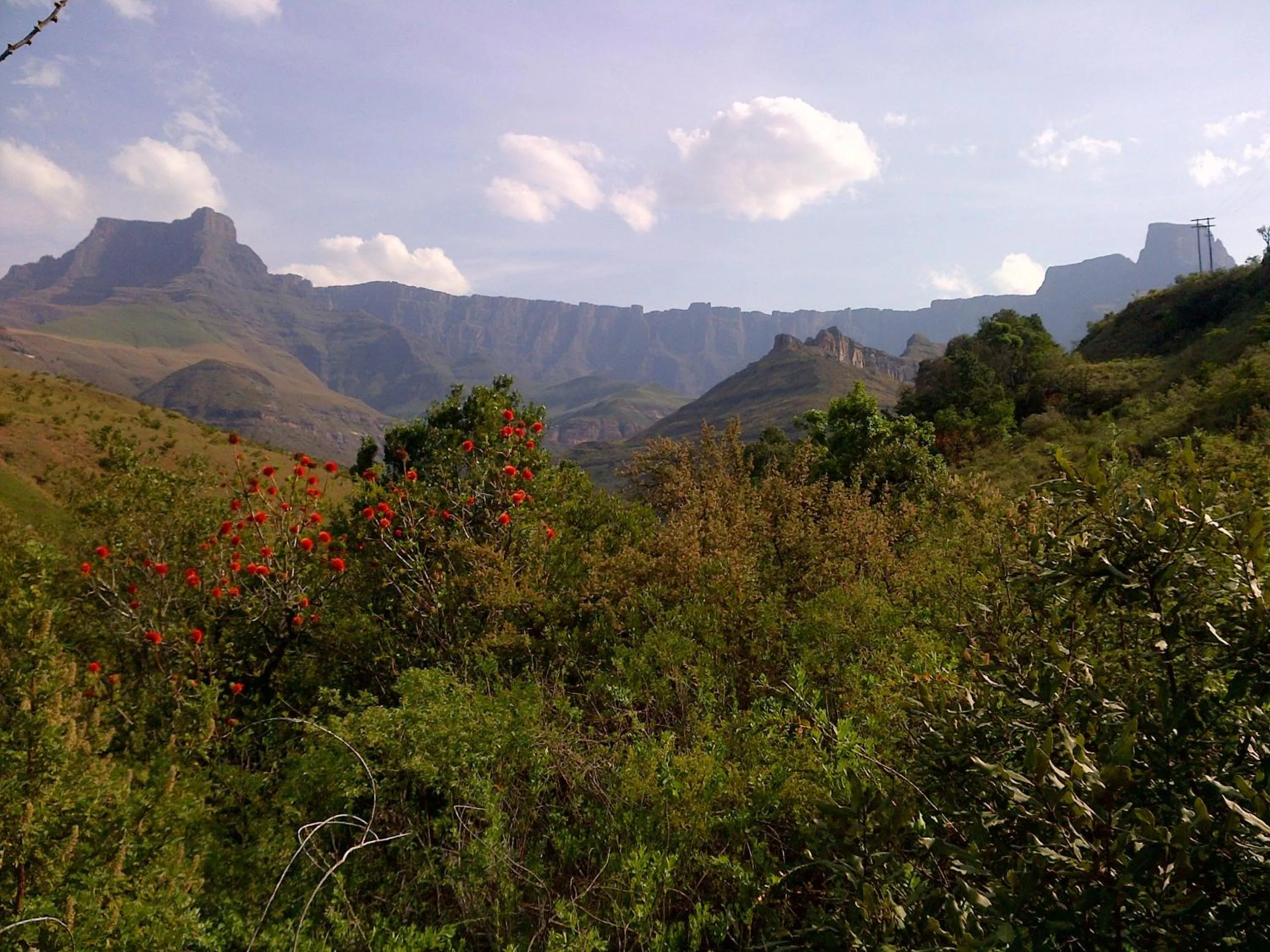 Neighbourhood in Spion Kop Lodge