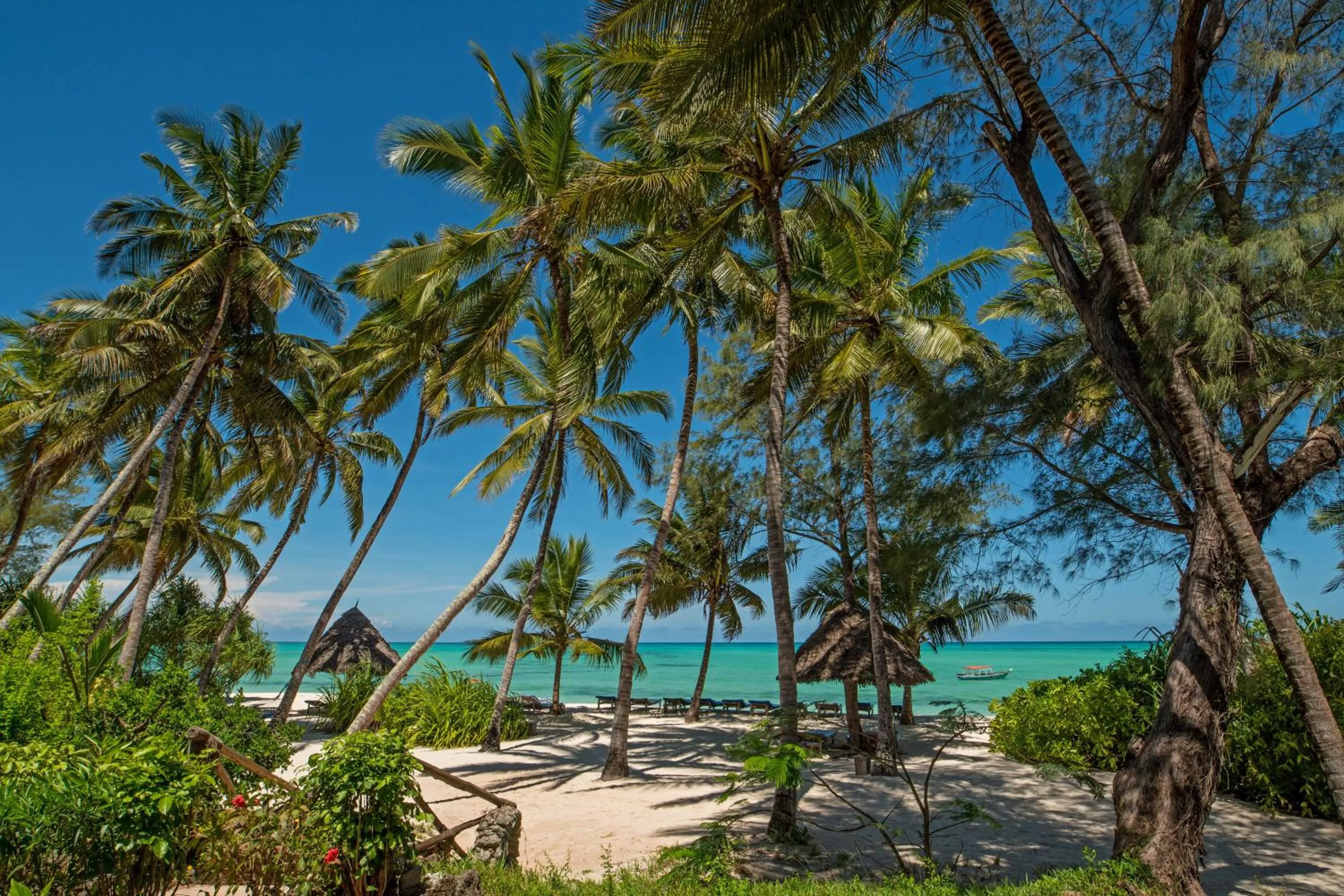 Beach in Pongwe Beach Hotel