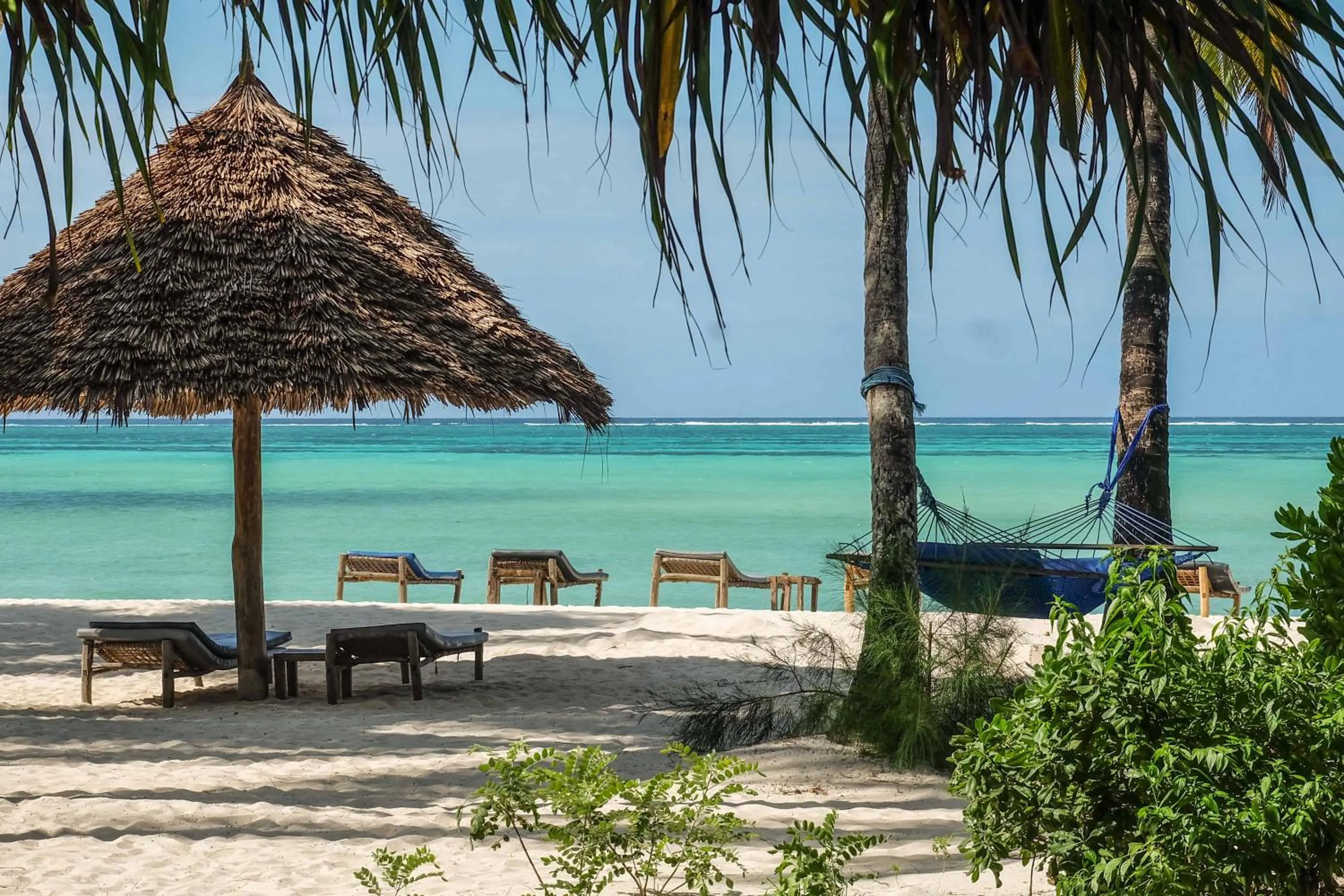 Beach in Pongwe Beach Hotel