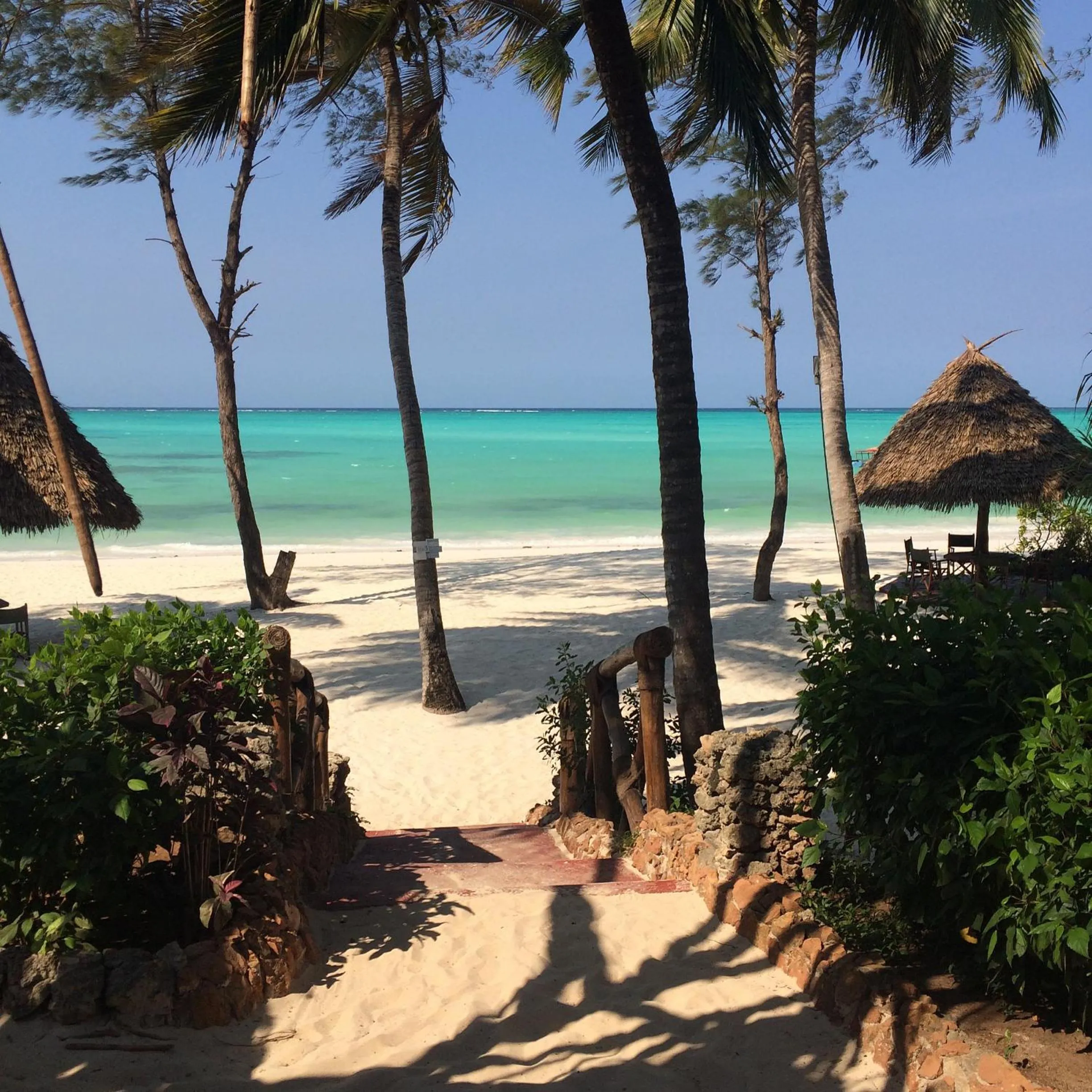 Dining area in Pongwe Beach Hotel