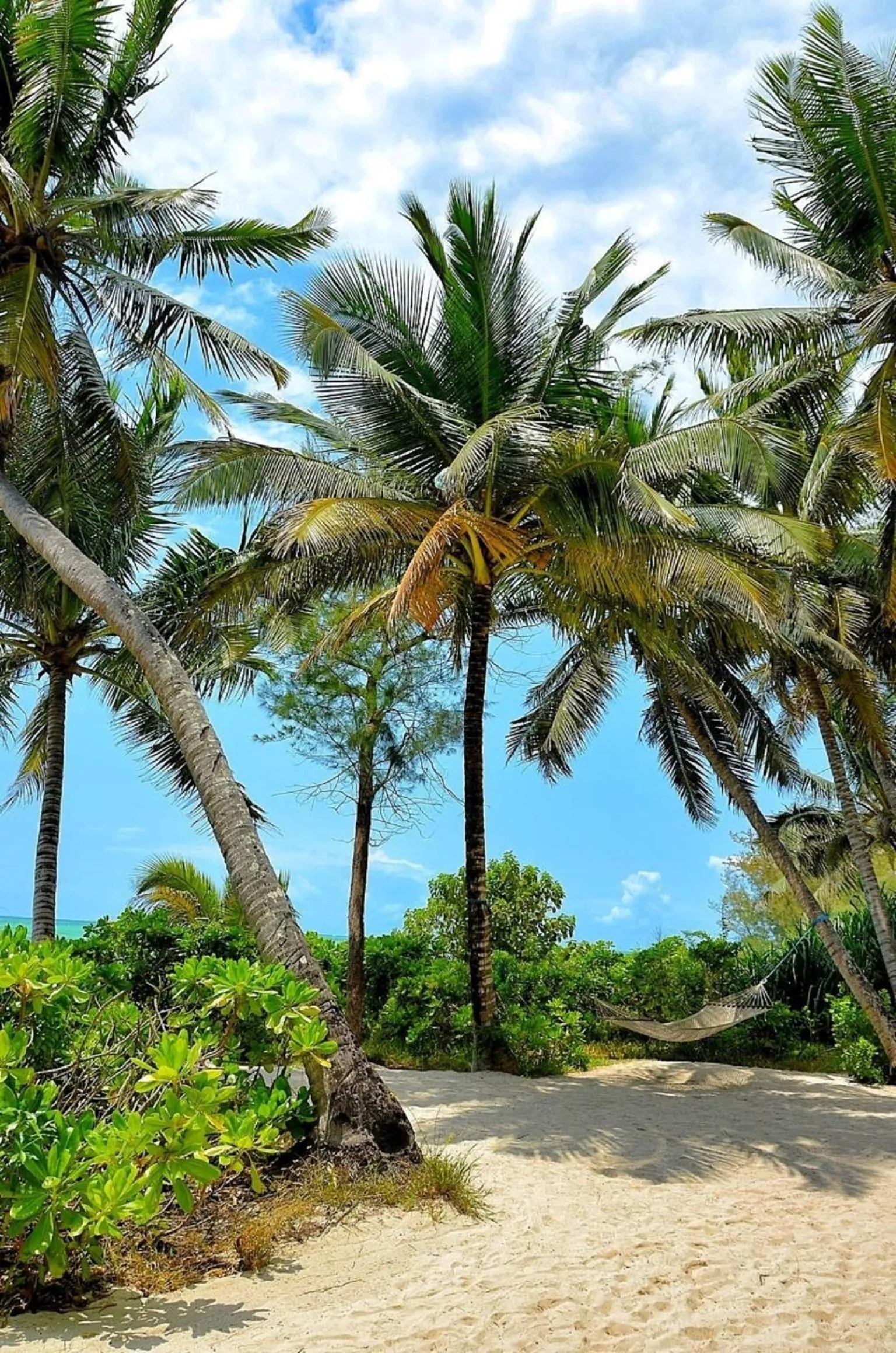 Natural landscape in Pongwe Beach Hotel