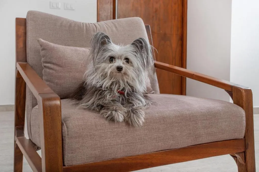 The Panoramic by Xperience Hotels