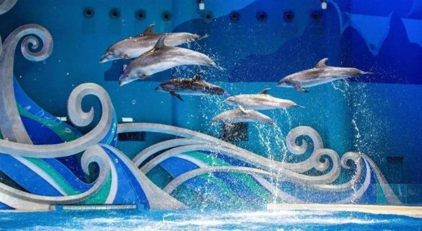 Steigenberger Hotel SUNAC Jinan