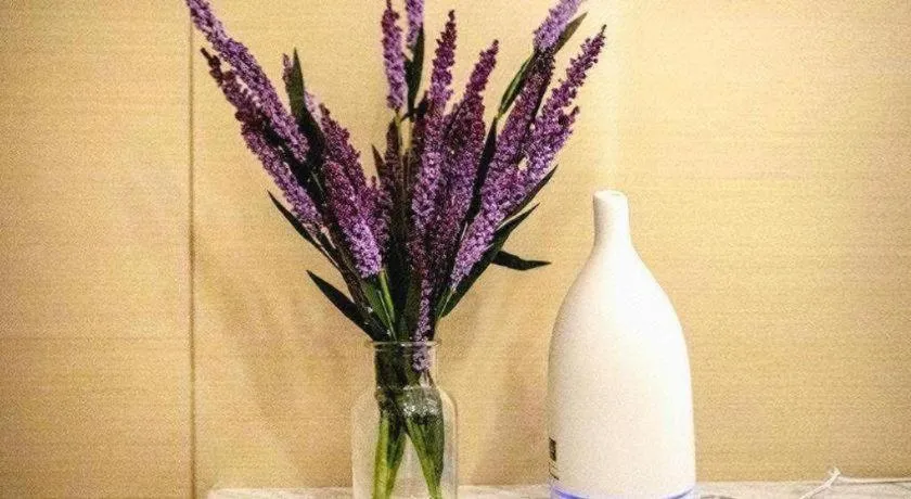 Lavande Hotel Wuhan Jianghan Road Jiqing Street