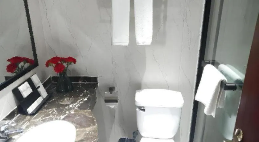 Borrman Hotel Chongqing Hechuan High-speed Railway Station District Government