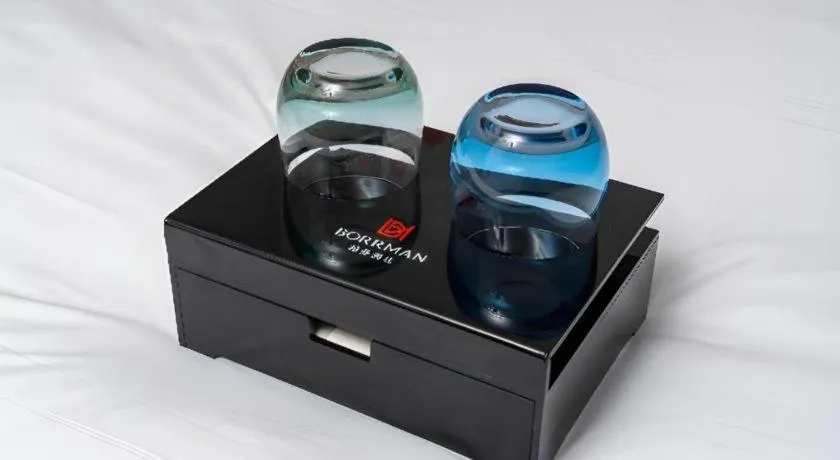 Borrman Hotel Guangzhou Shisanhang Ximenkou Metro Station