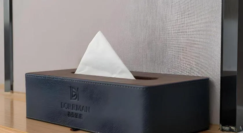 Borrman Hotel Guangzhou Shisanhang Ximenkou Metro Station