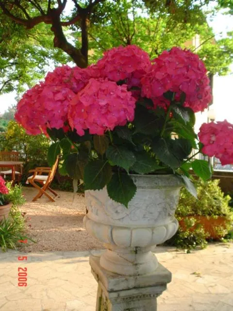Villa la Fonte