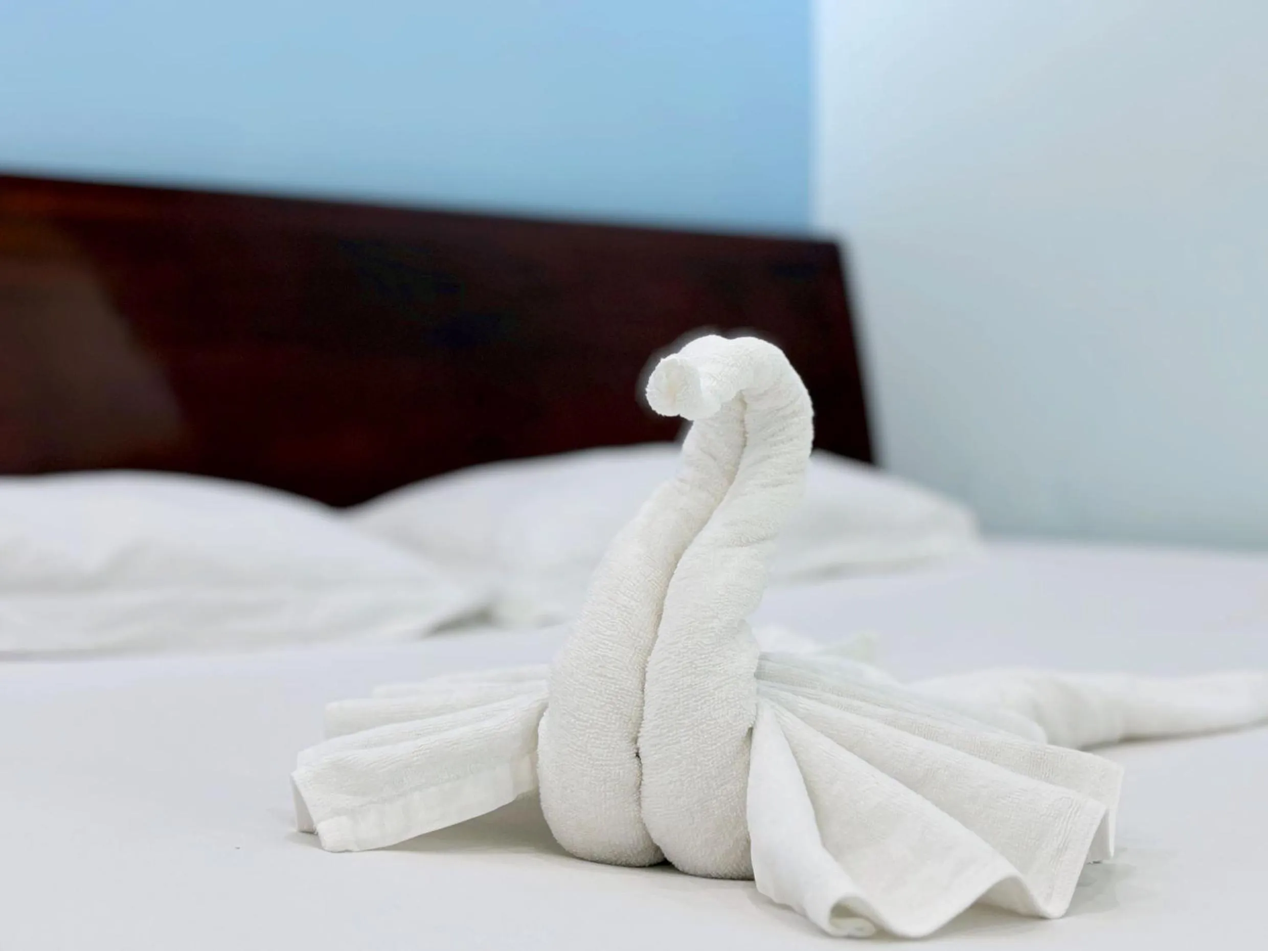 Bedroom, Bed in Quoc Dinh Guest House