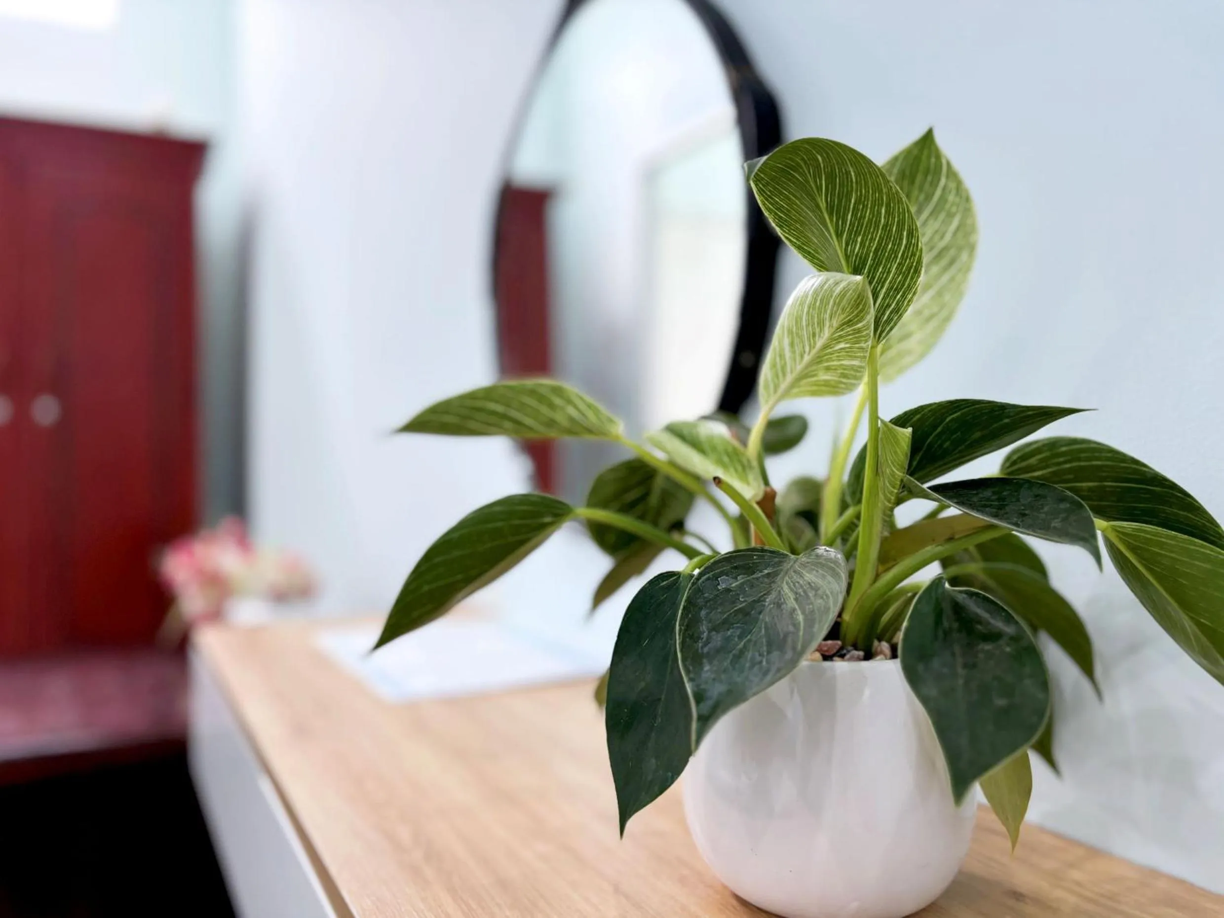 Bedroom in Quoc Dinh Guest House