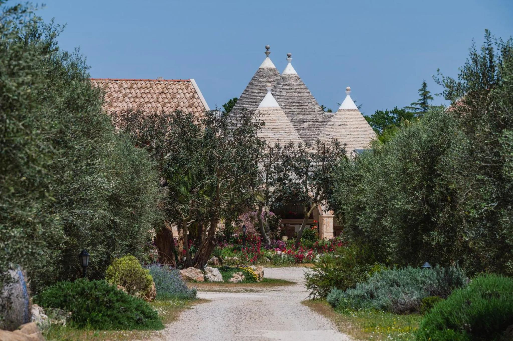 Neighbourhood in Trulli D'autore