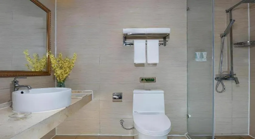 Vienna Hotel Anhui Bozhou Lixin Yuanli Plaza