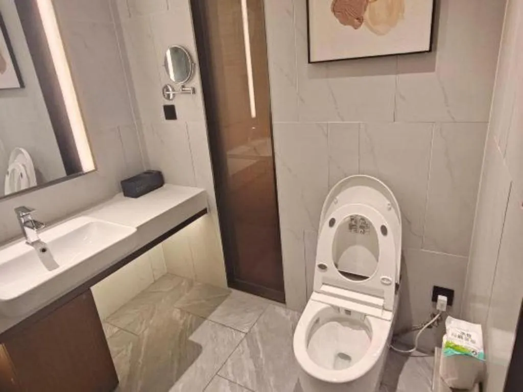 Vienna Hotel Guangdong Foshan West Station Airport Luocun