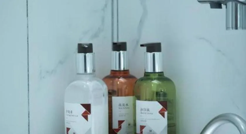 Borrman Hotel Baise High-speed Railway Station Hengning Plaza