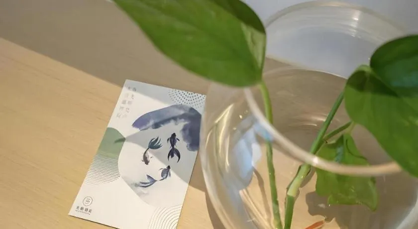 Deep Sleep Hotel Nanjing Confucius Temple Metro Station