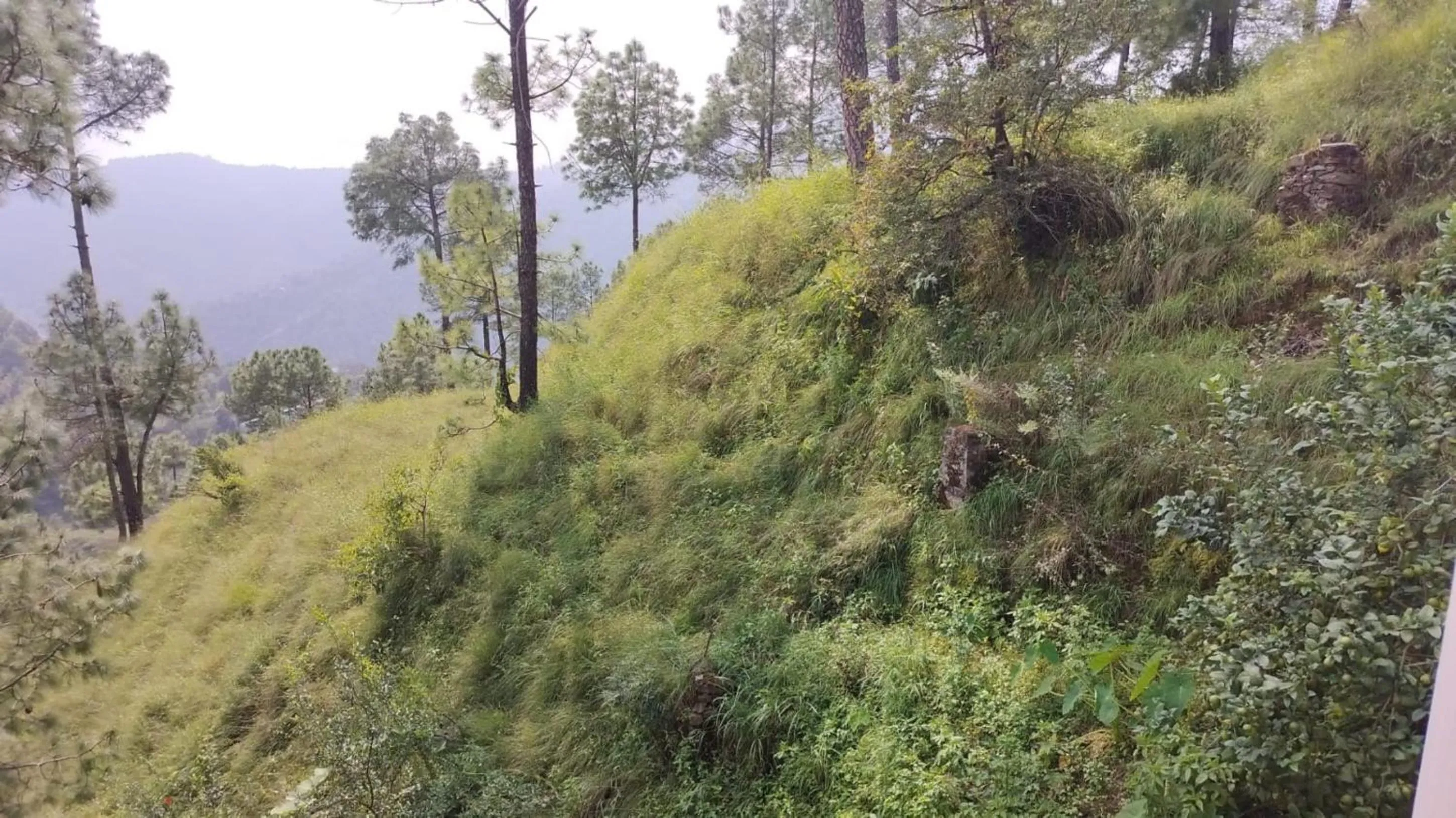 Day, Natural Landscape in Goroomgo Homestay Sukh Dham Shimla - Homestay Like Home Feeling Mountain View
