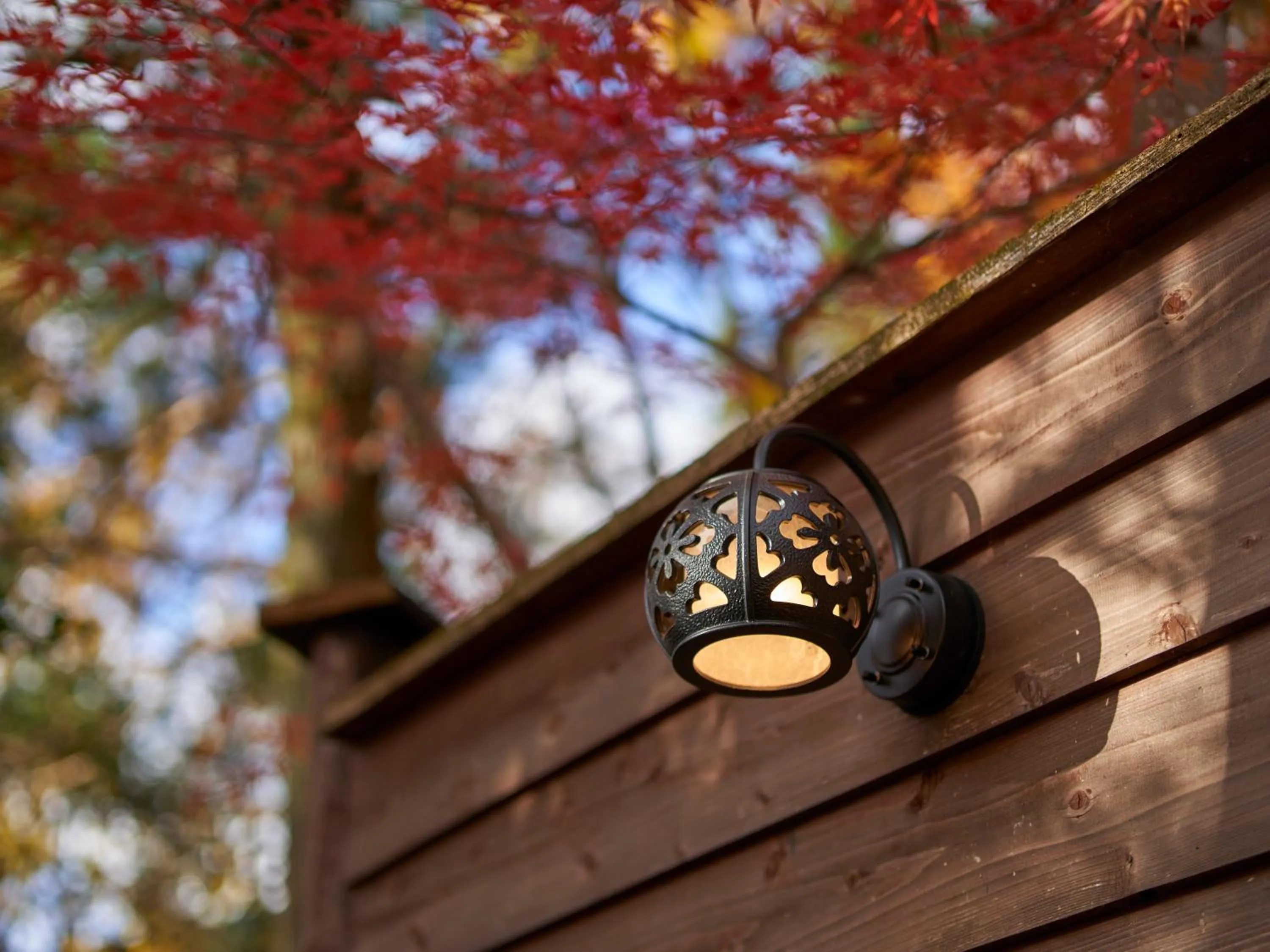 Day in Yufuin Rakuyu