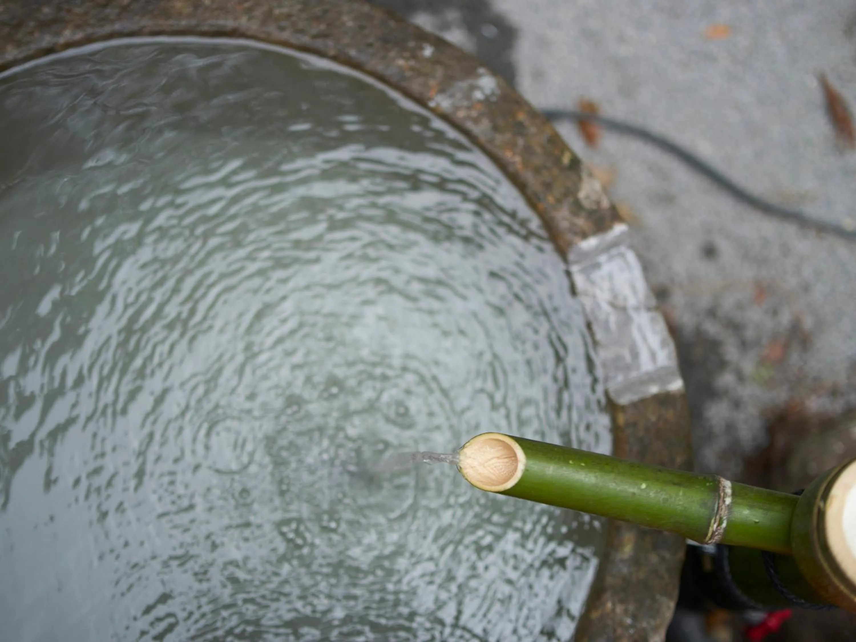 Garden in Yufuin Rakuyu
