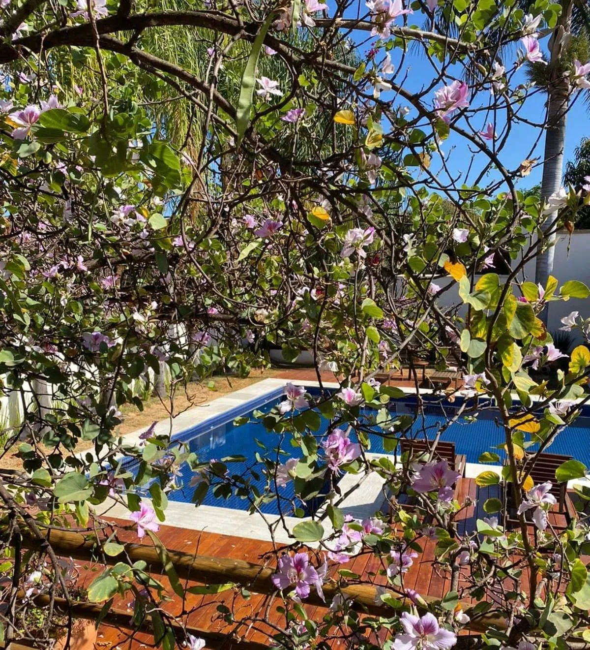 Swimming pool in Pousada Caraíba