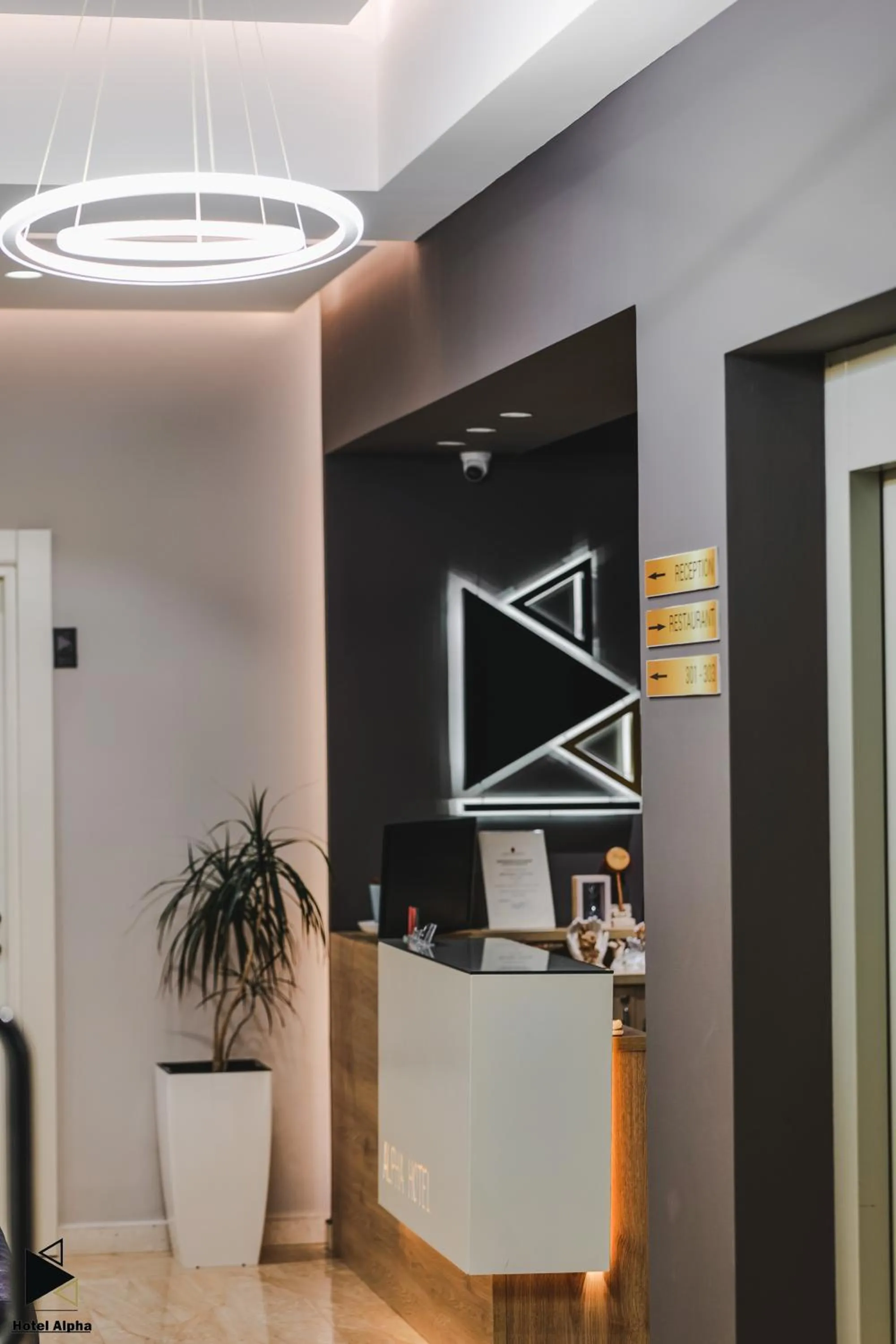 View (from property/room) in Hotel Alpha