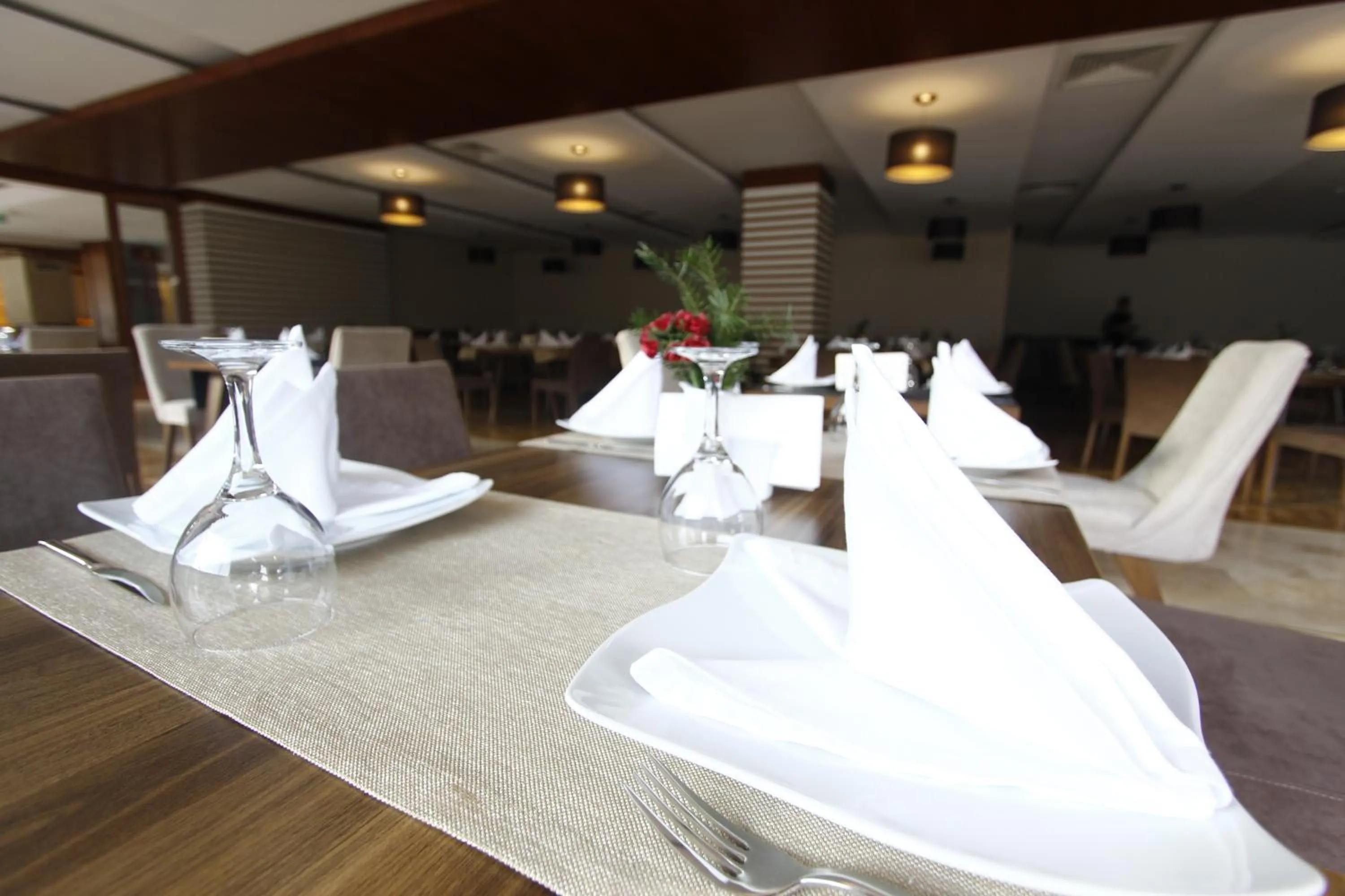 Restaurant/places to eat in Abant Aden Boutique Hotel & Spa