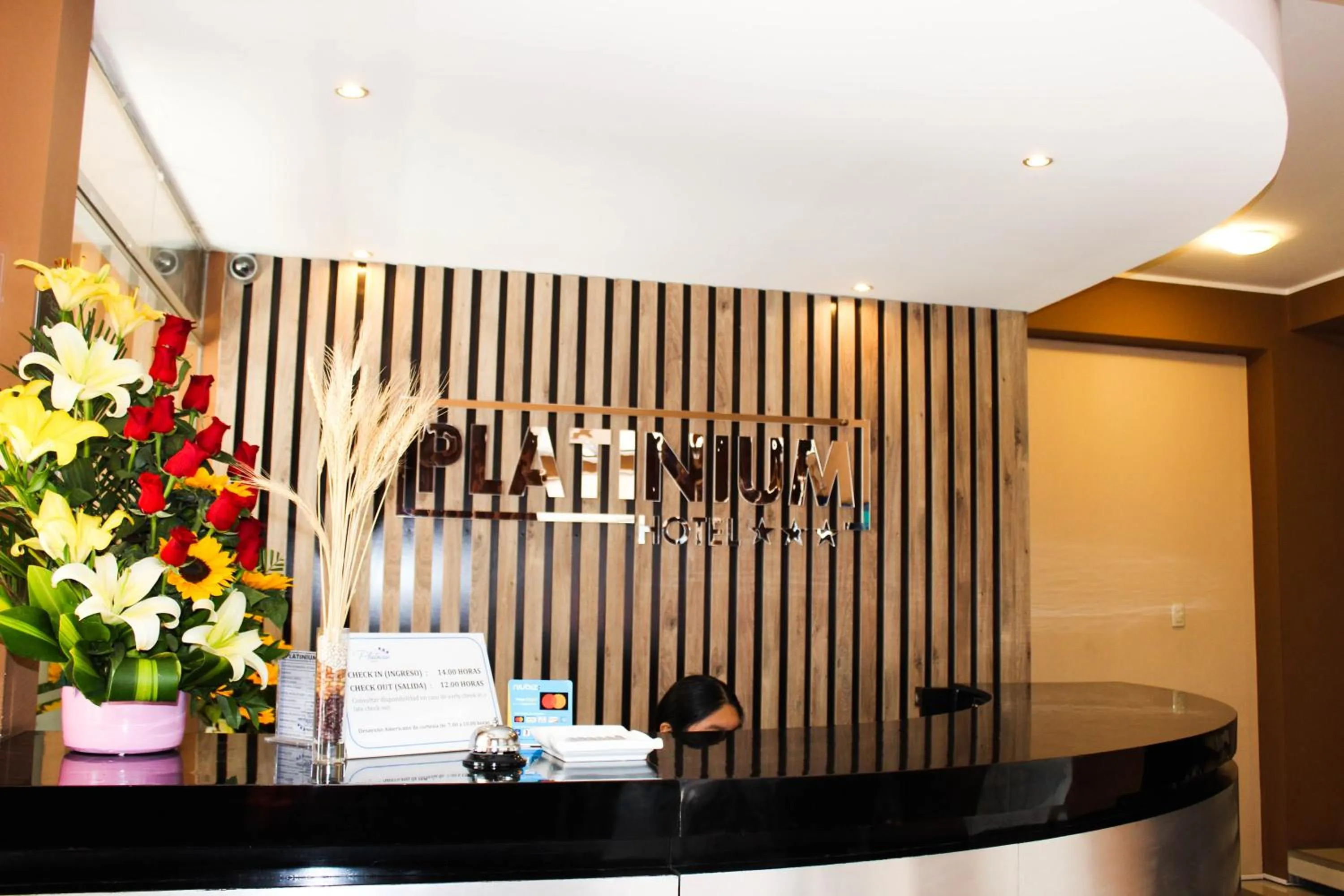 Lobby or reception in Hotel PLATINIUM