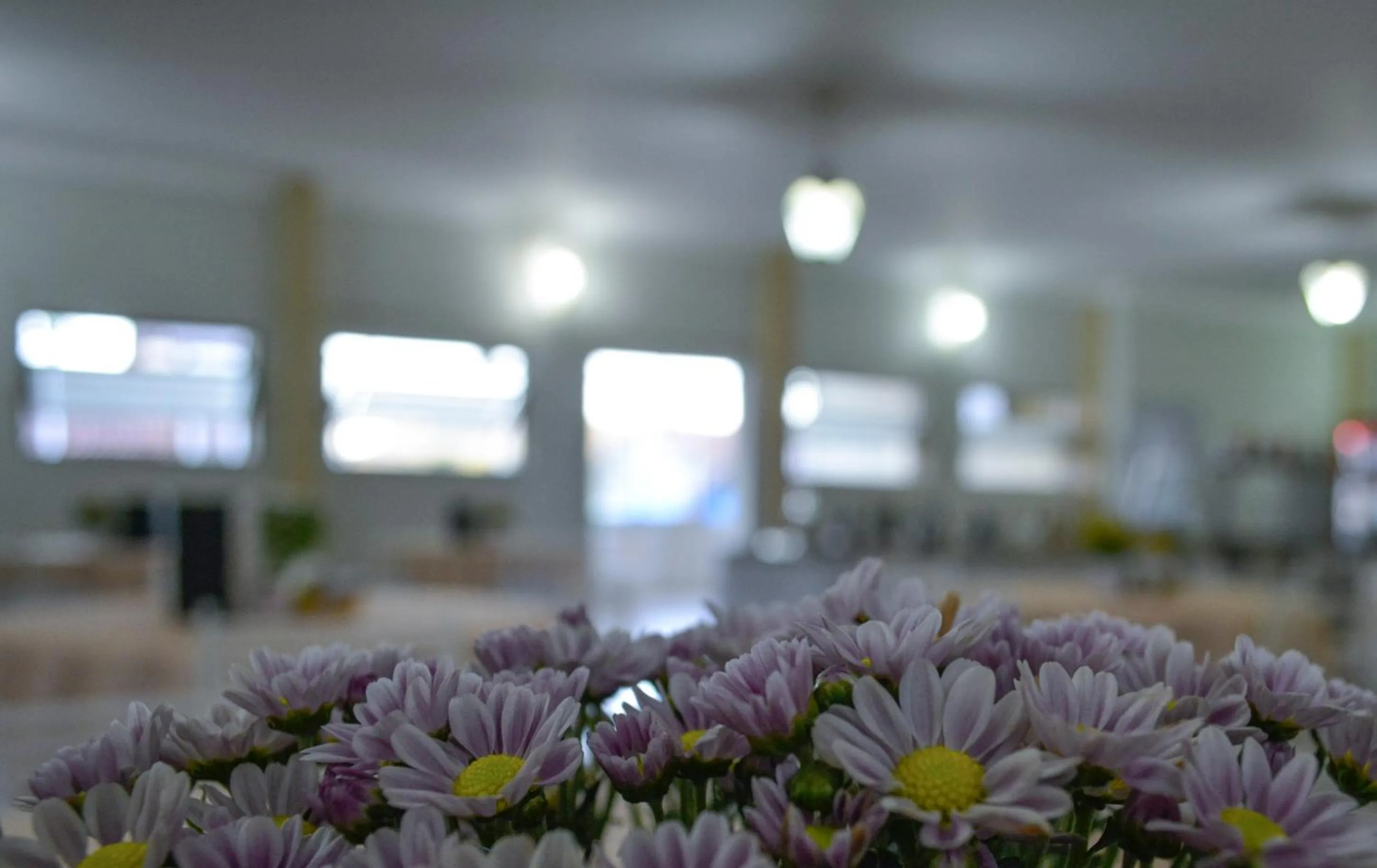 Hotel Real São Lourenço