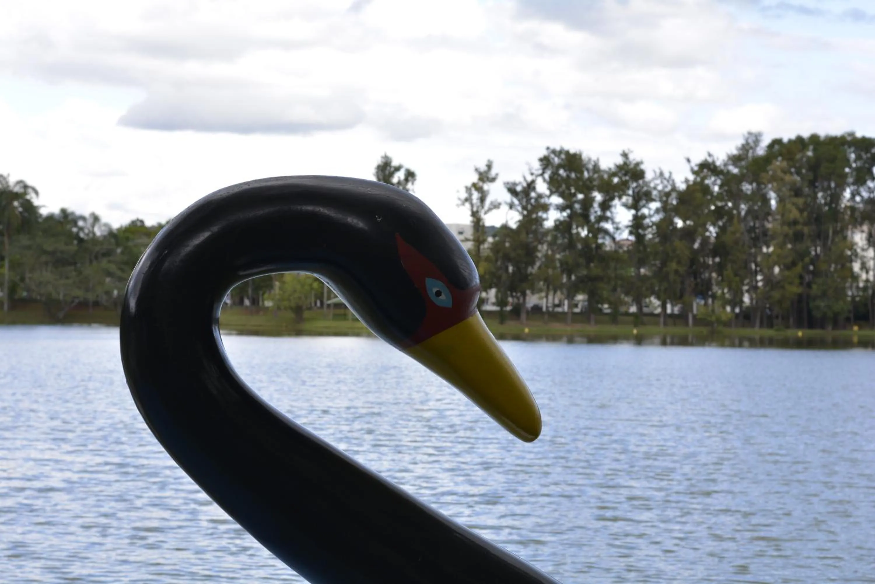 Hotel Real São Lourenço