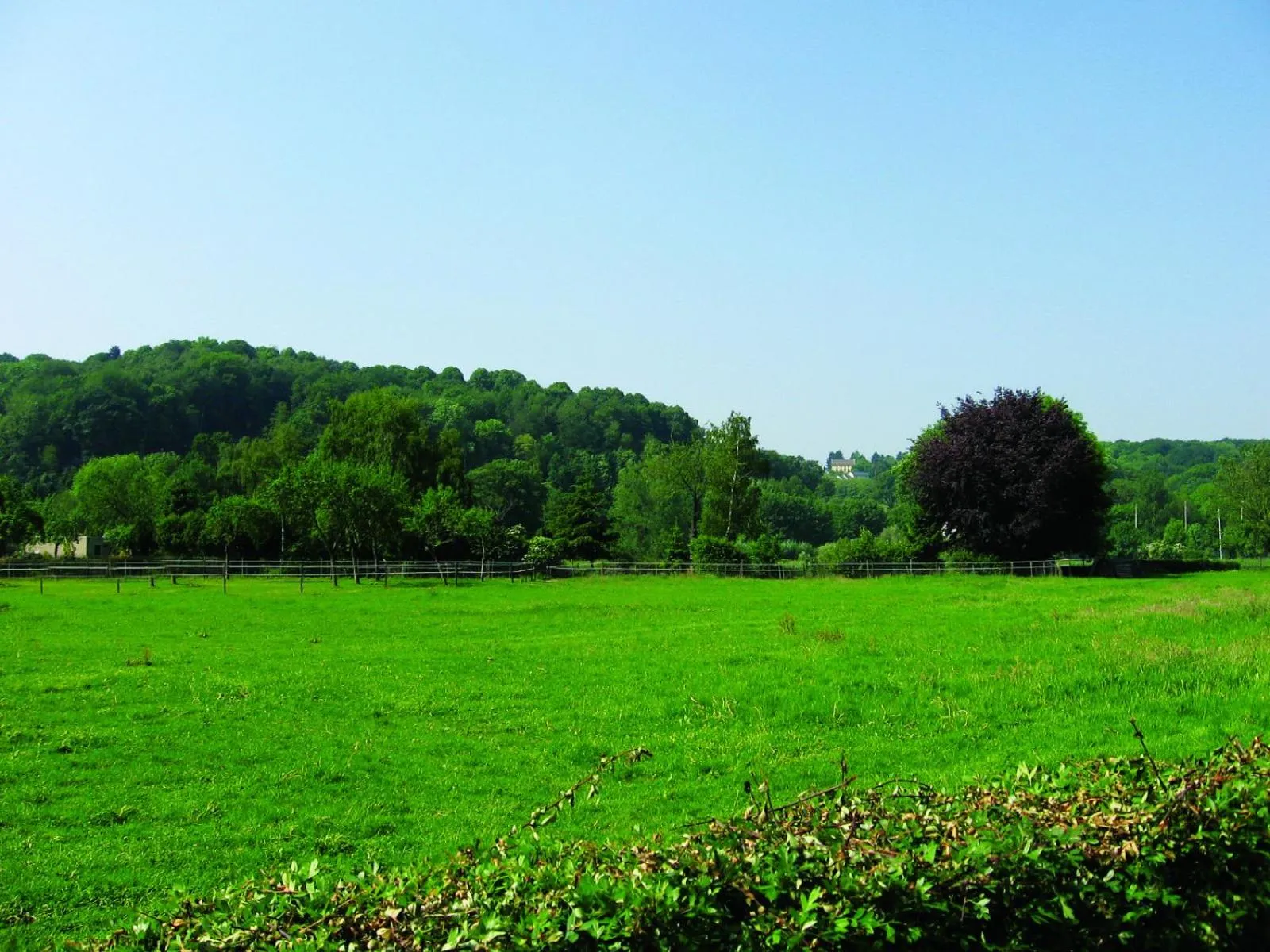 Natural landscape in Fletcher Hotel Restaurant De Geulvallei