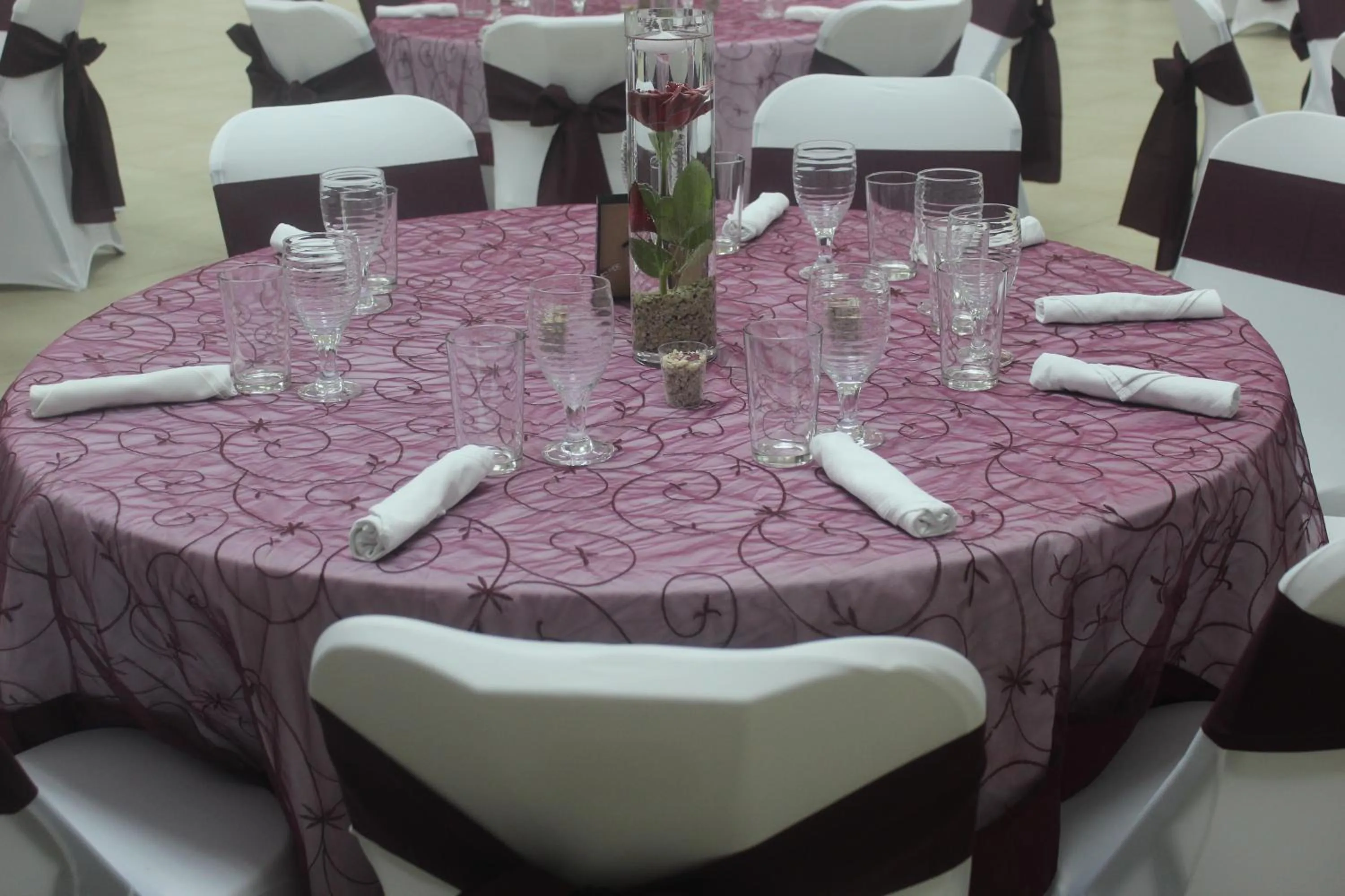 Banquet/Function facilities in Seis Playas Hotel