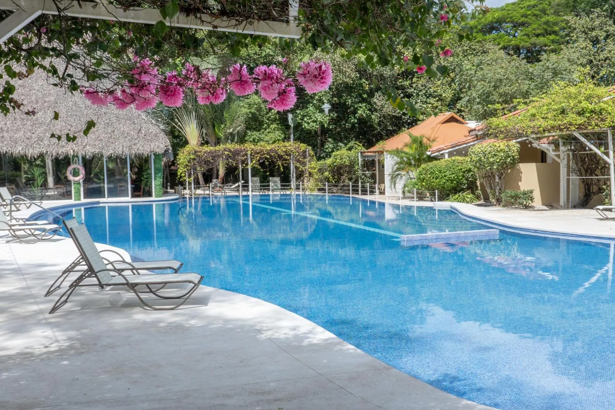 Pool view in Seis Playas Hotel