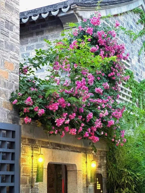 Blossom House Nanjing Laomendong Zhuque Lane