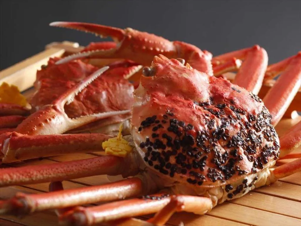 Mikuni Ocean Resort & Hotel