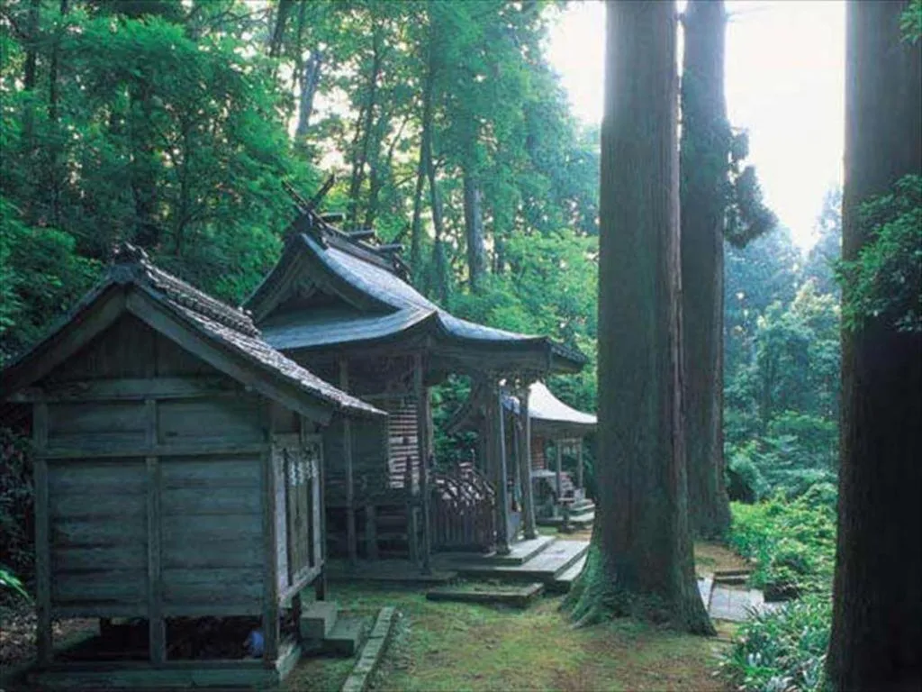 Mikuni Ocean Resort & Hotel