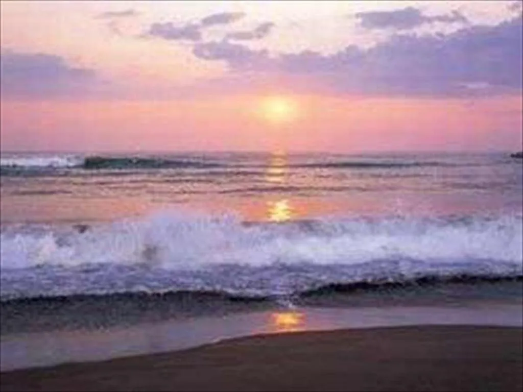 Mikuni Ocean Resort & Hotel